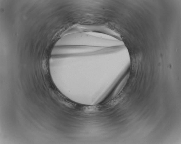 X0000069380088200606091702