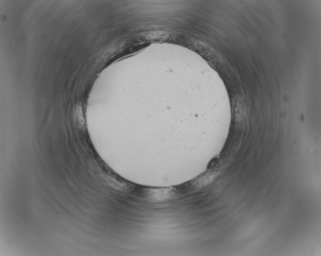 X0000069380089200606091702