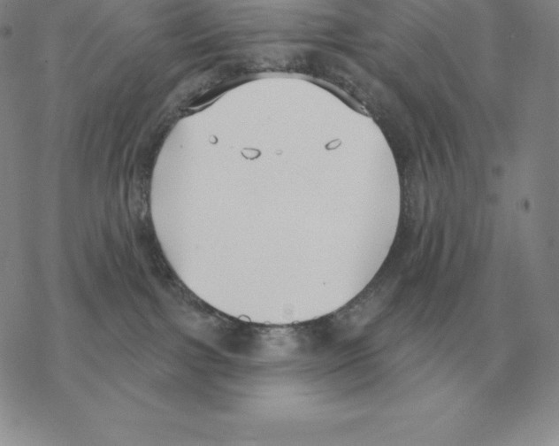 X0000069380091200606091702