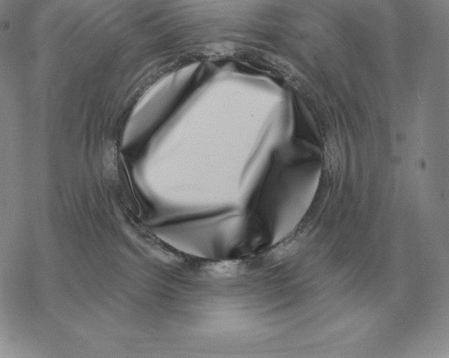 X0000069380092200606091702