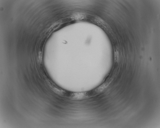 X0000069380093200606091702