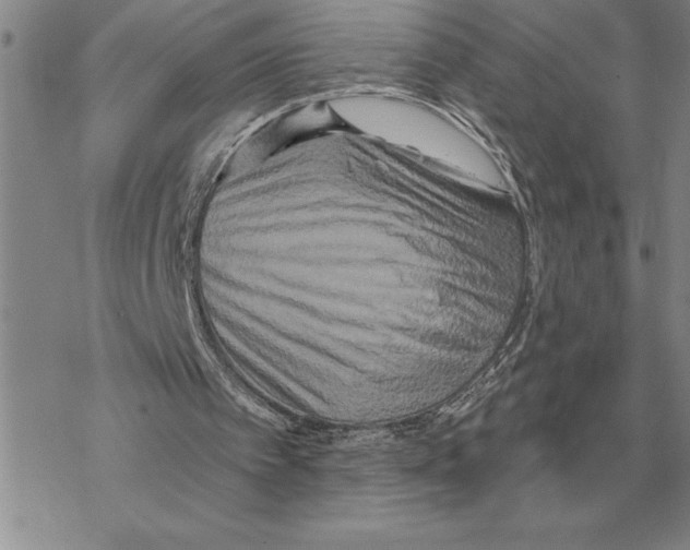 X0000069380097200606091701