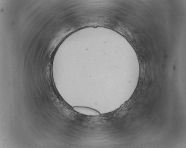 X0000069380098200606091701