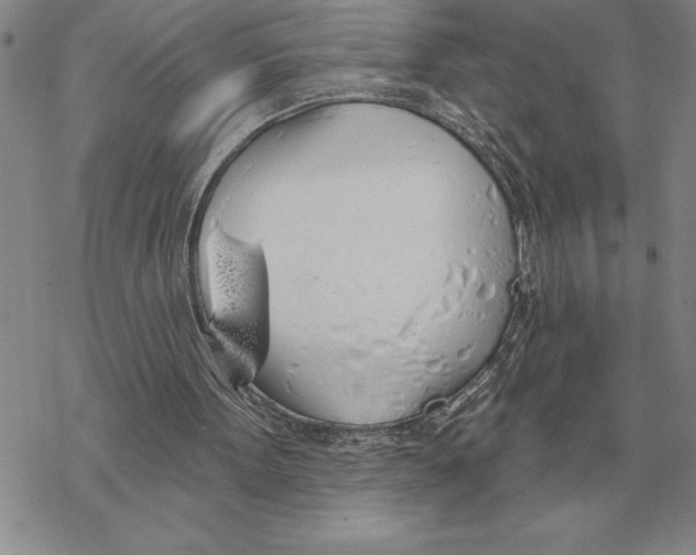 X0000069380099200606091701