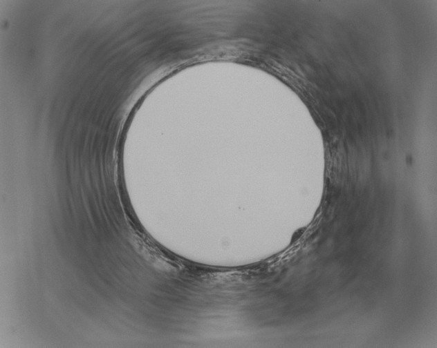 X0000069380100200606091701