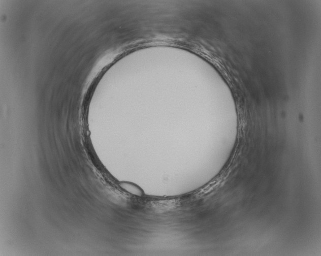 X0000069380102200606091701