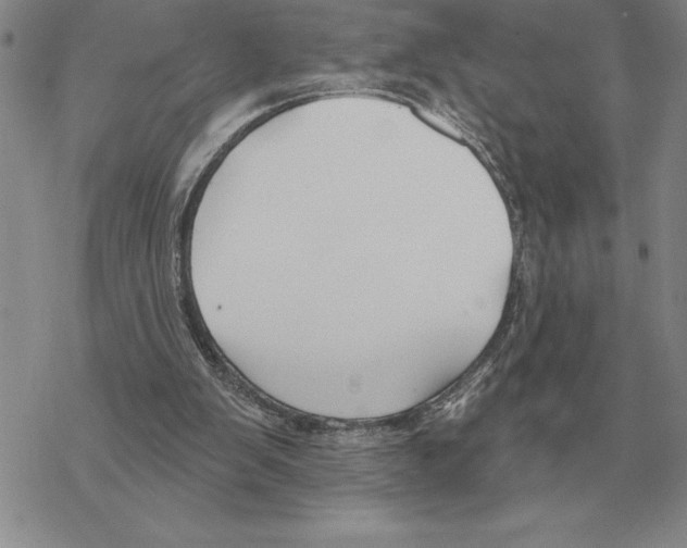 X0000069380103200606091701