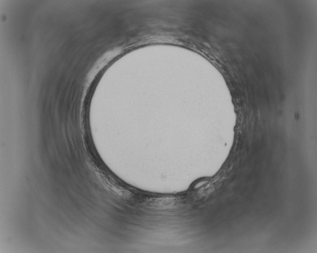 X0000069380104200606091701