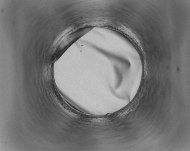 X0000069380105200606091701