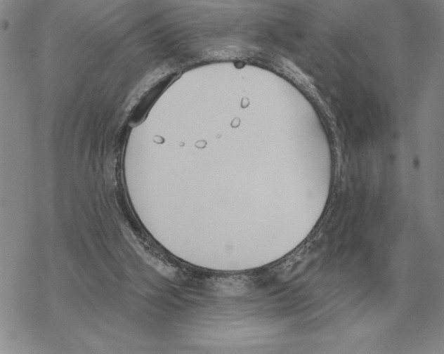 X0000069380106200606091701