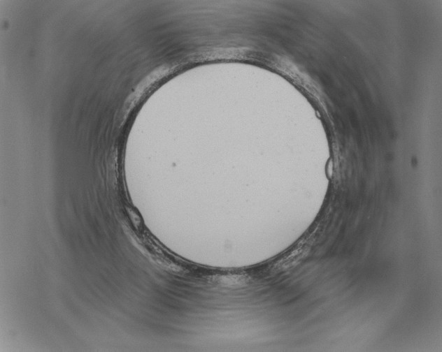 X0000069380107200606091701