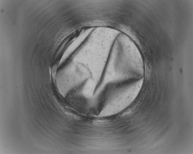 X0000069380109200606091701