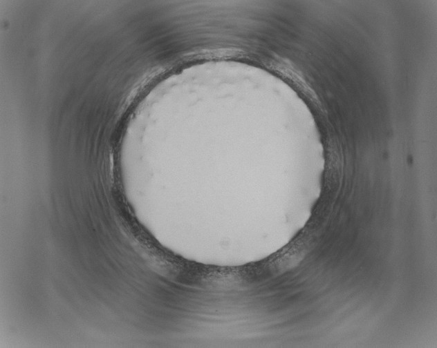 X0000069380110200606091701