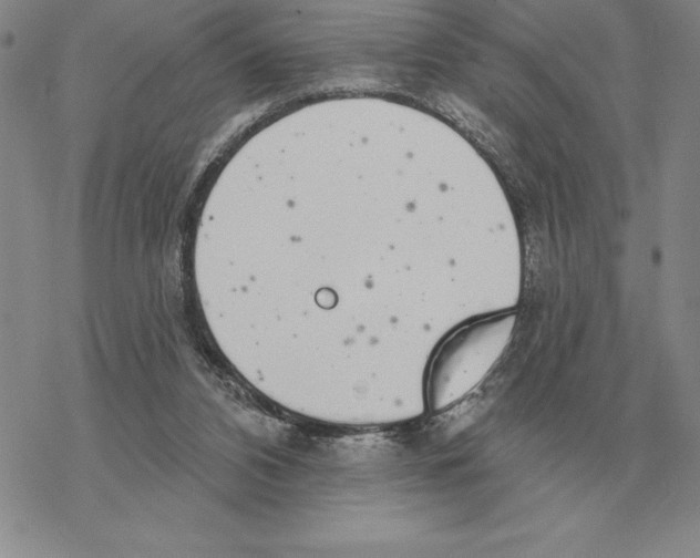 X0000069380112200606091701