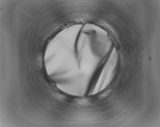 X0000069380113200606091701