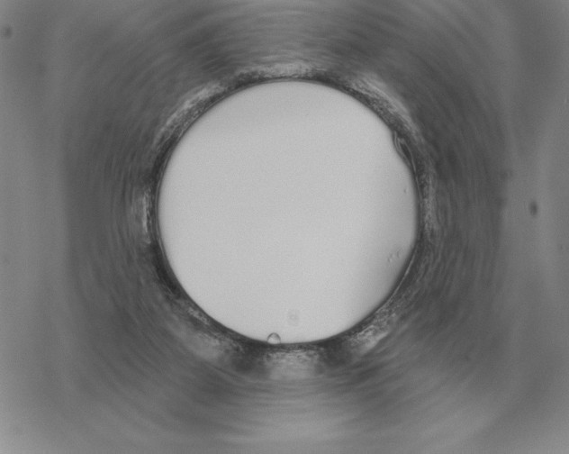 X0000069380115200606091701