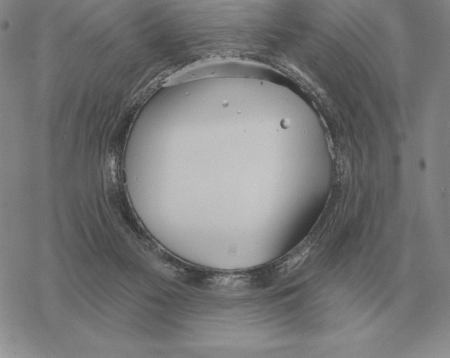 X0000069380117200606091701