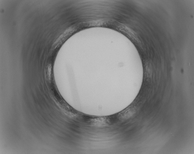 X0000069380118200606091701