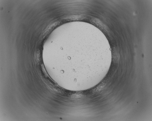 X0000069380119200606091701