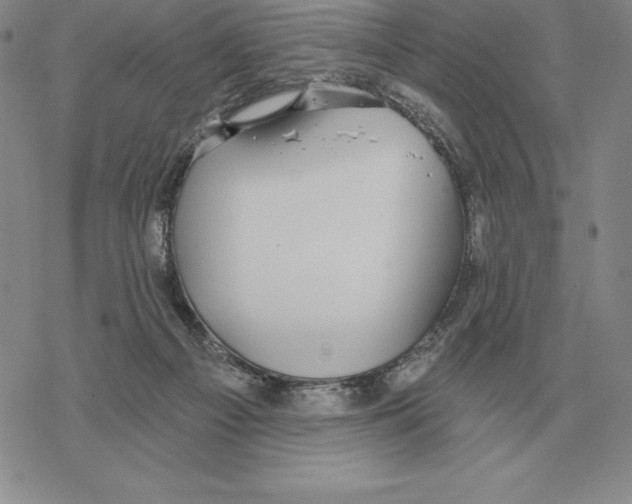 X0000069380121200606091700