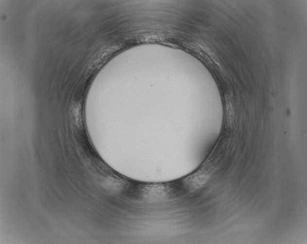 X0000069380123200606091700