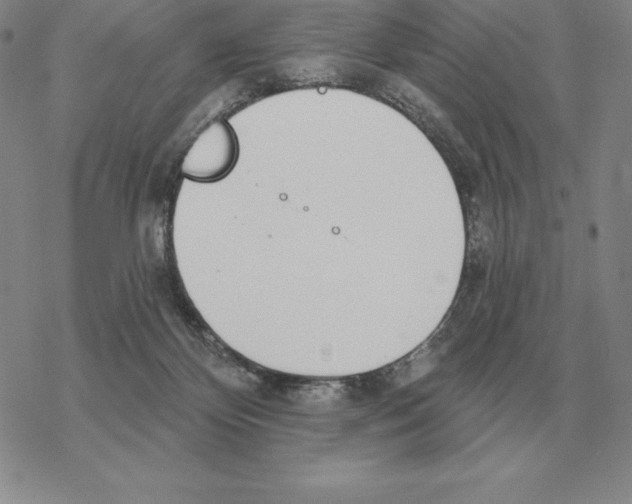 X0000069380124200606091700