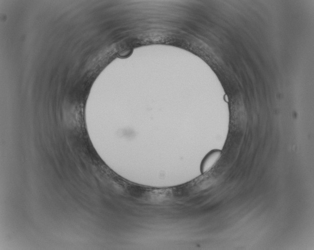 X0000069380126200606091700