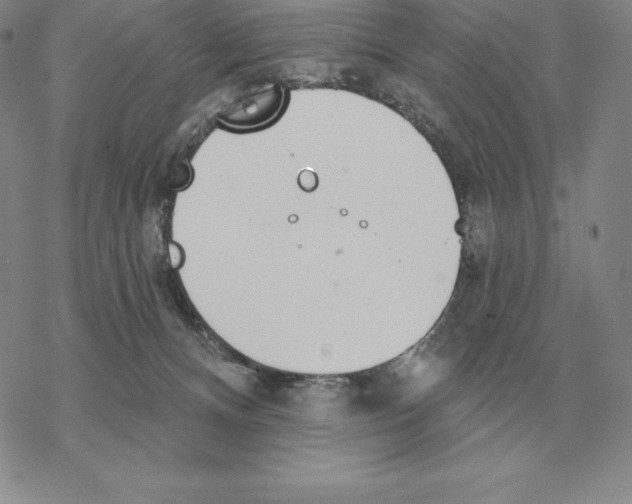 X0000069380128200606091700