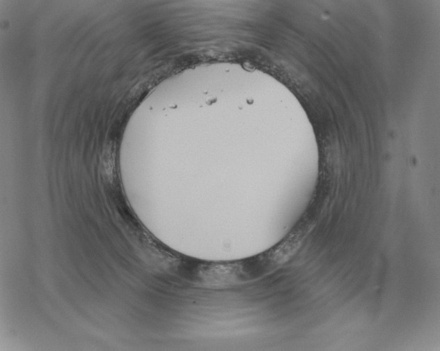 X0000069380129200606091700