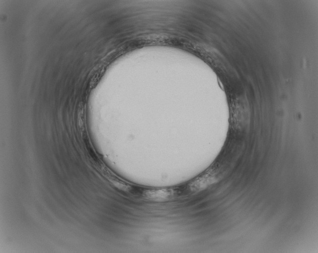 X0000069380131200606091700