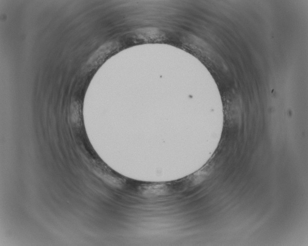 X0000069380132200606091700