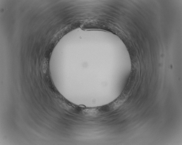 X0000069380133200606091700