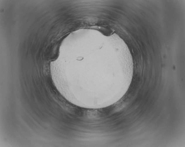 X0000069380134200606091700