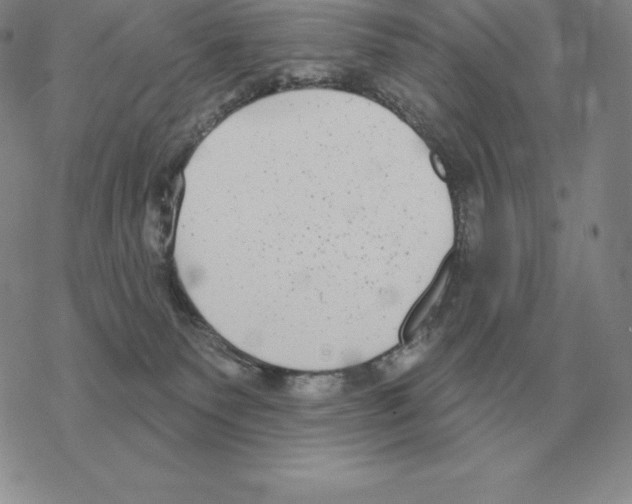 X0000069380135200606091700