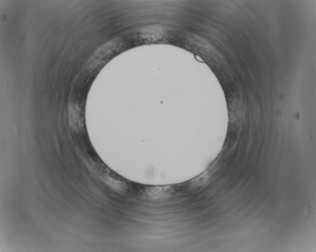 X0000069380136200606091700