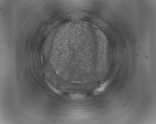 X0000069380137200606091700