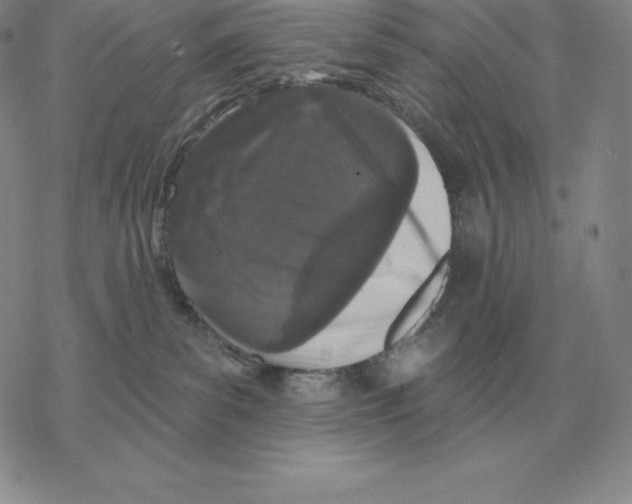 X0000069380139200606091700