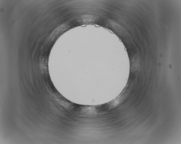 X0000069380140200606091700