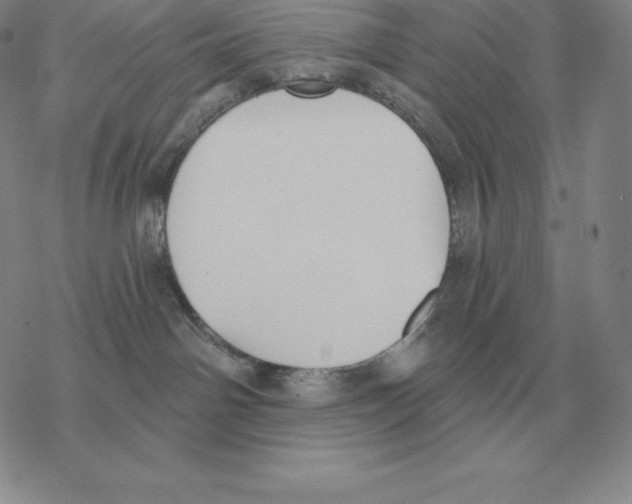 X0000069380142200606091700