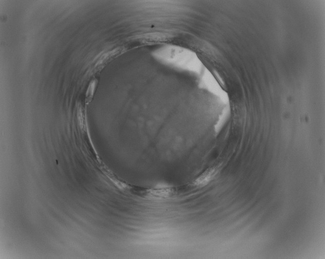 X0000069380143200606091700