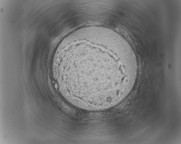 X0000069380145200606091659