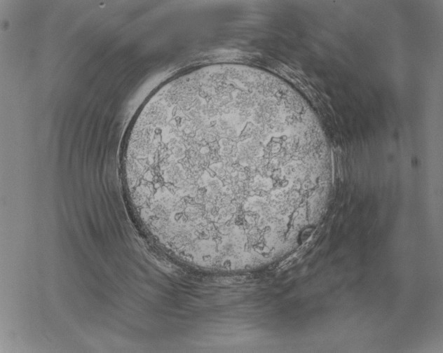 X0000069380147200606091659