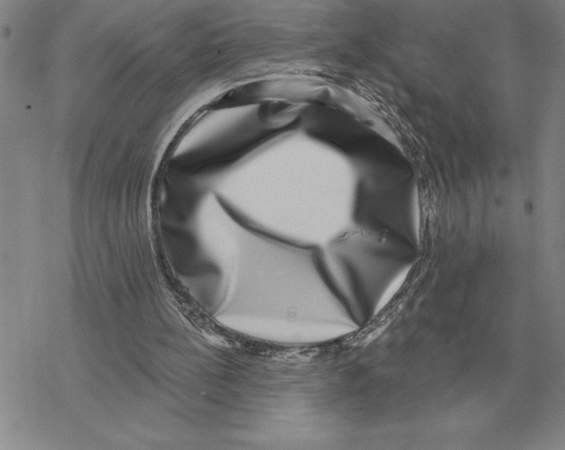 X0000069380148200606091659