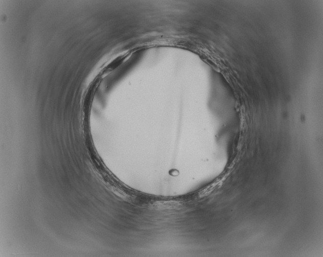 X0000069380150200606091659