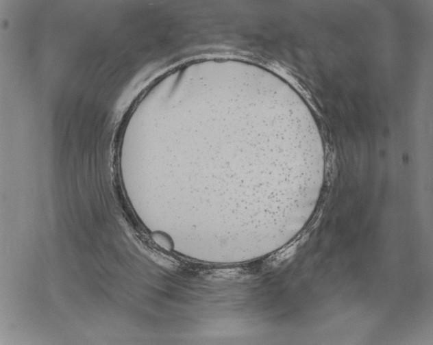 X0000069380151200606091659