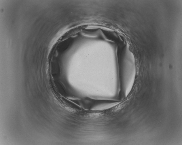 X0000069380152200606091659