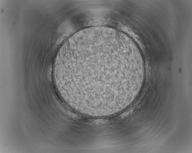 X0000069380153200606091659