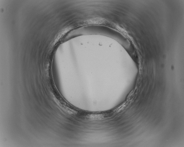 X0000069380154200606091659