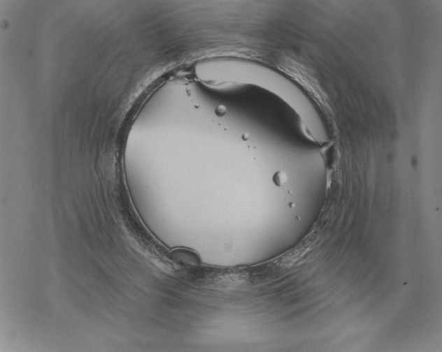 X0000069380156200606091659