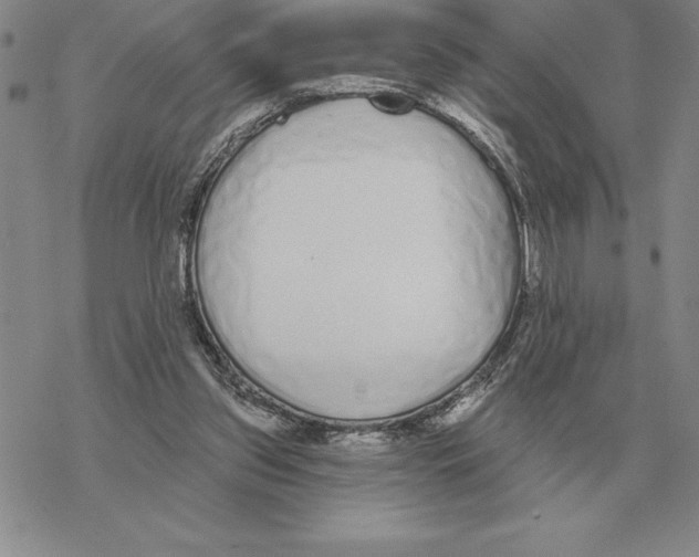 X0000069380157200606091700